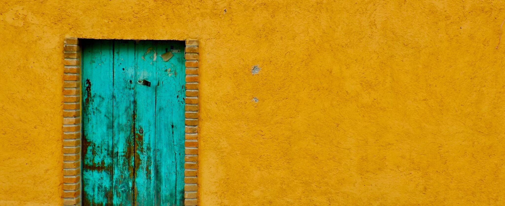 Testimonial from Shane