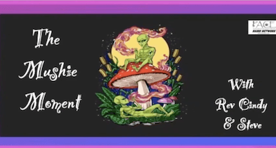 The Mushie Moment Podcast