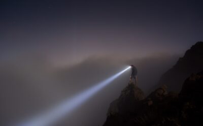 Testimonial – 5-MeO-DMT flashlight to take into the shadows