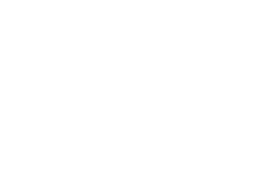 Ibogaine Opioid Detox